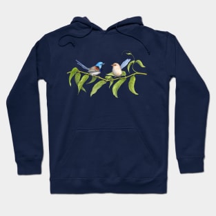 Variegated Fairy-Wrens - by Nadya Neklioudova Hoodie